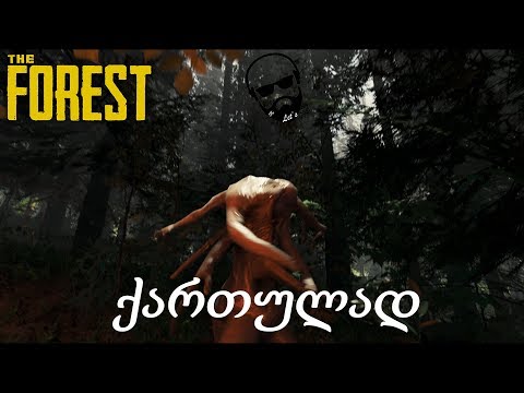 The Forest ანრისთან ერთად (ნაწილი 15)